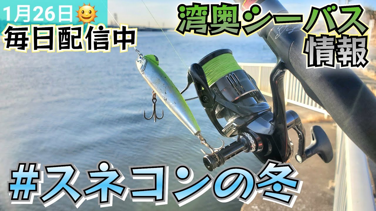 「2026年1月26日】真冬のシーバスに #スネコンの冬 
