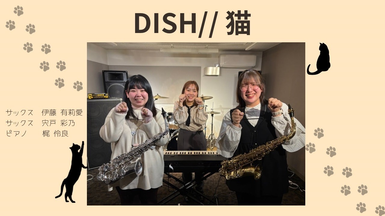 【ねこの日😸インストラクターによる三重奏♬】猫 /DISH//