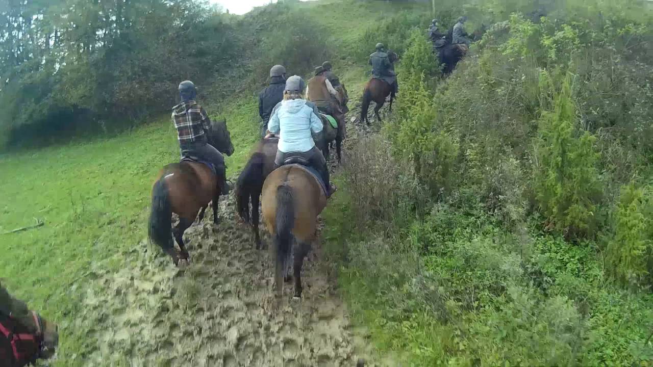 Spęd koni huculskich Regiet&oacute;w 2016-10-15