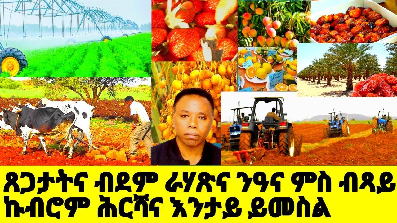 ጸጋታትና ብደም ራሃጽና ንዓና ምስ ብጻይ ኩብሮም ሕርሻና እንታይ ይመስል