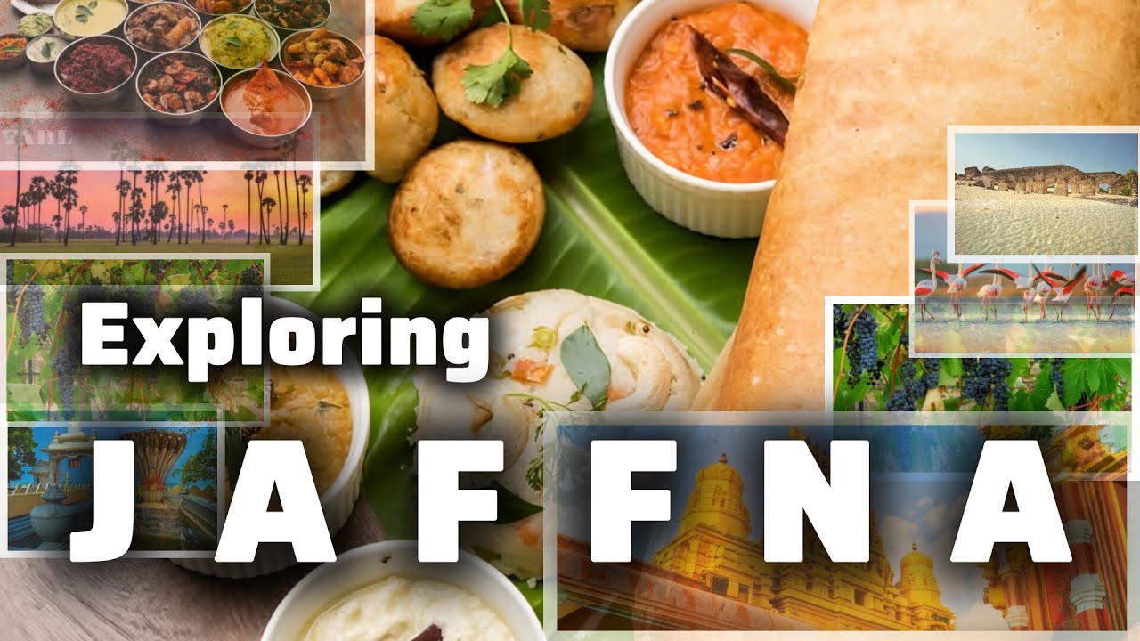 Jaffna Travel Guide|Exploring Jaffna|යාපනය|யாழ்பானம்| #jaffna #யாழ்பானம் #jaffnatravel