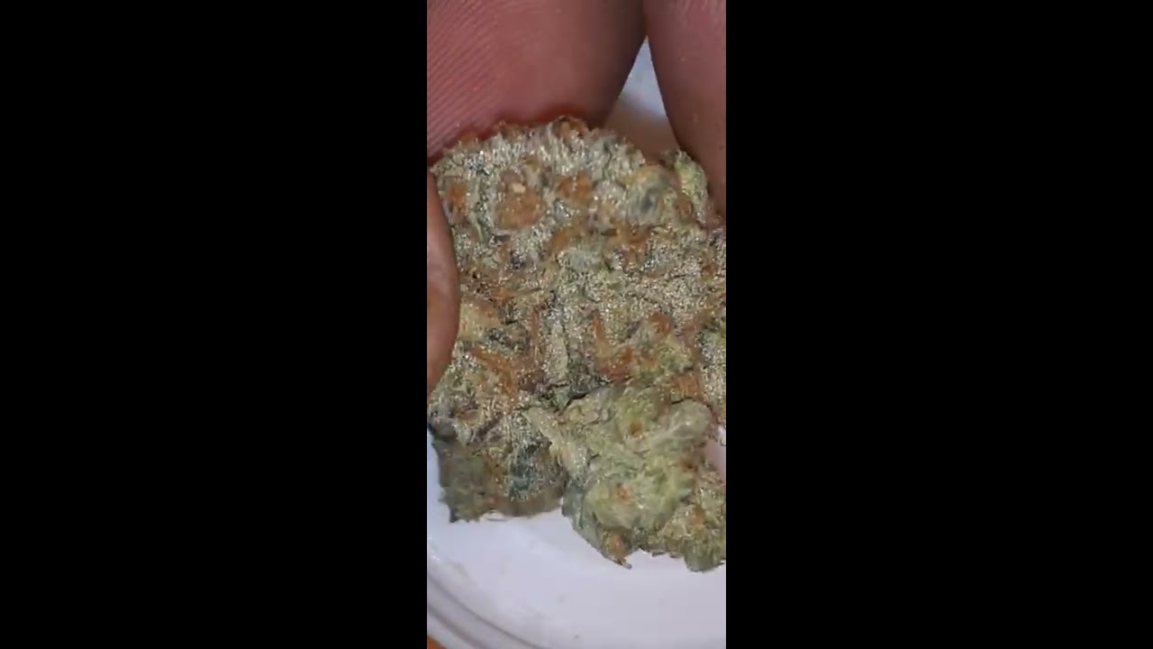 Alien O.G (Hybrid). Review. S1. E27