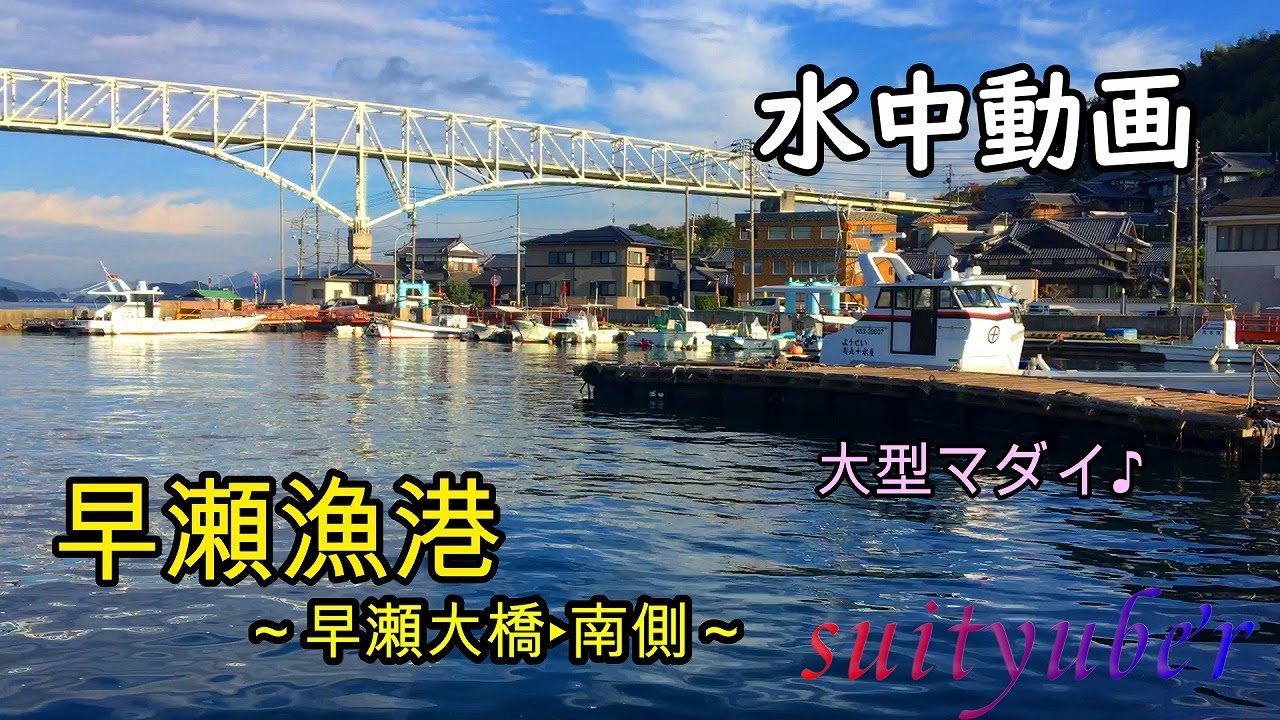 釣り人目線の水中動画　早瀬漁港（倉橋島）