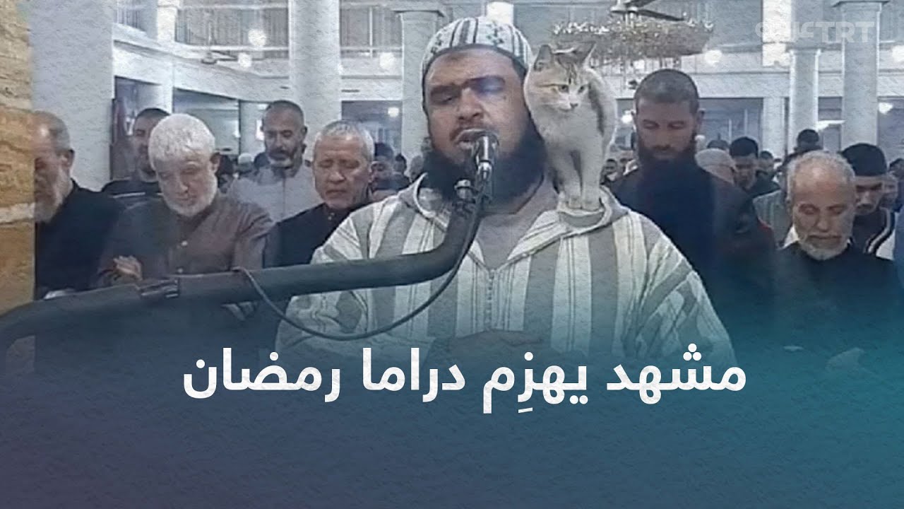 مشهد القطة والإمام يكتسح مواقع التواصل