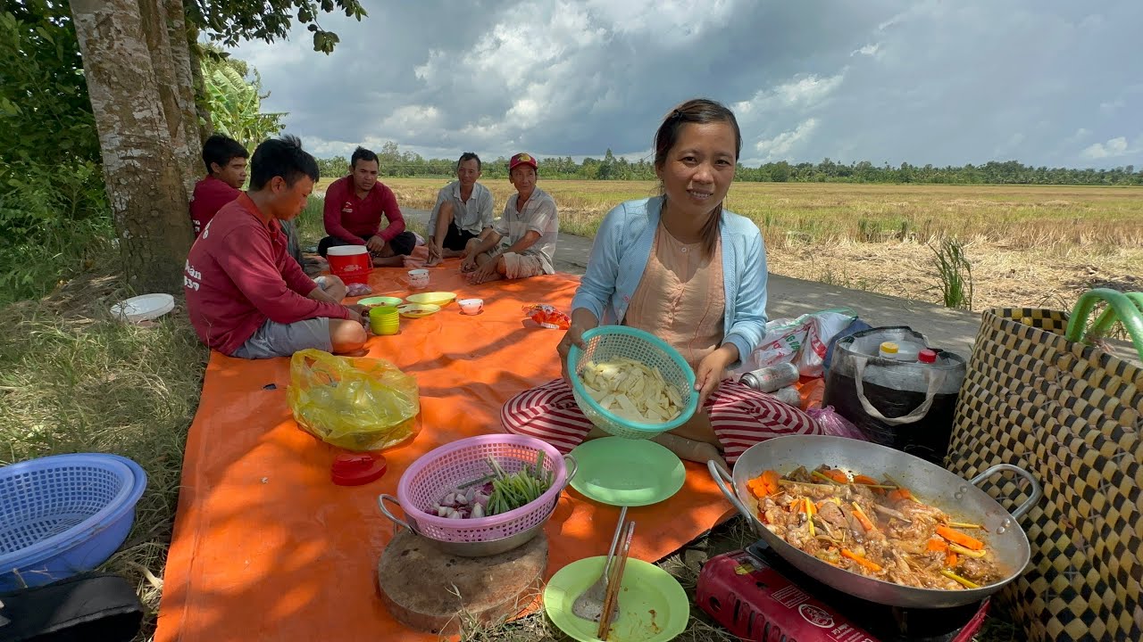 Chuột Cống Nhum nấu Sa Tế / Bắt chuột mùa gặt lúa ở cánh đồng Kế Sách VXĐ 987 