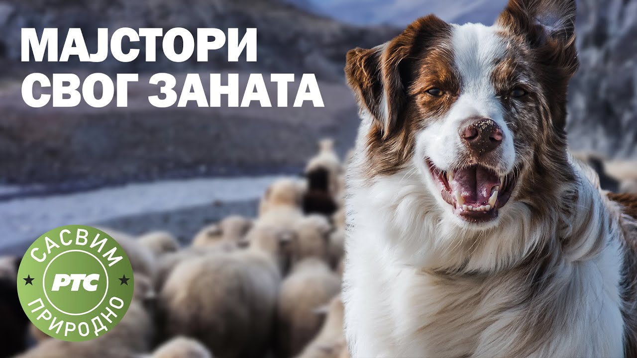 Sasvim prirodno : Majstori svog zanata (Jovan Memedović)
