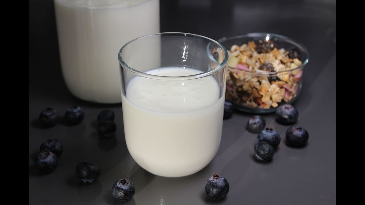 Kéfir de lait