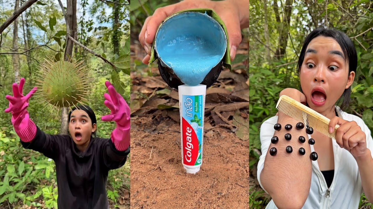Survival Skills: SMART ideas and USEFUL In Forest With Single Mom #survival #camping #outdoors #idea