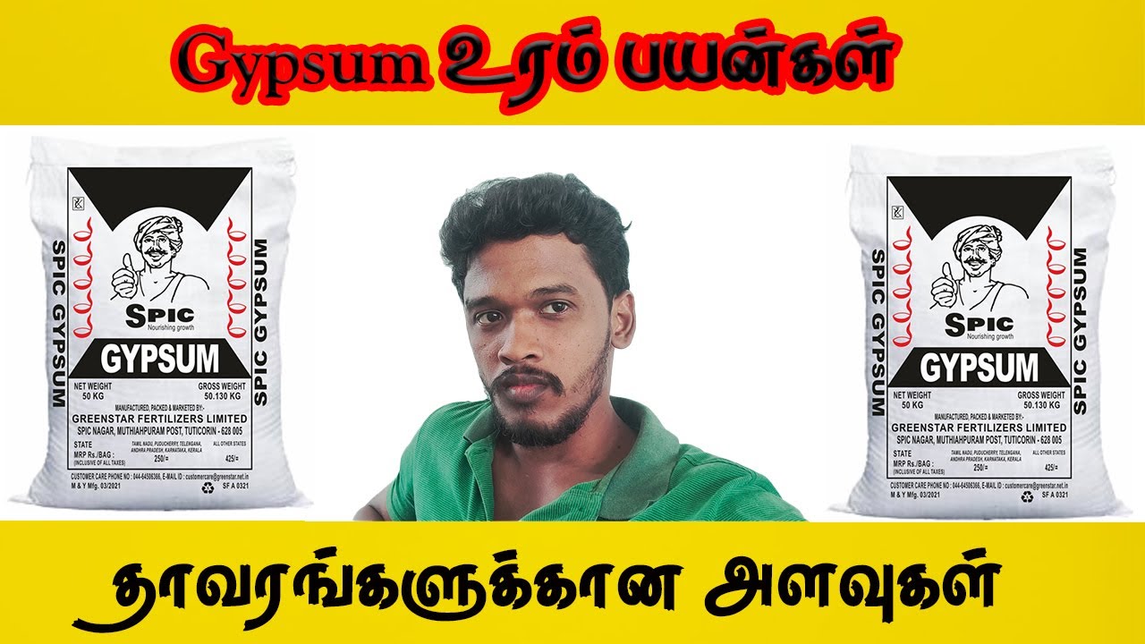 ஜிப்சம் பயன்கள் என்ன? எப்போது பயன்படுத்த வேண்டும்? | Gypsum Fertilizer | Gramathan
