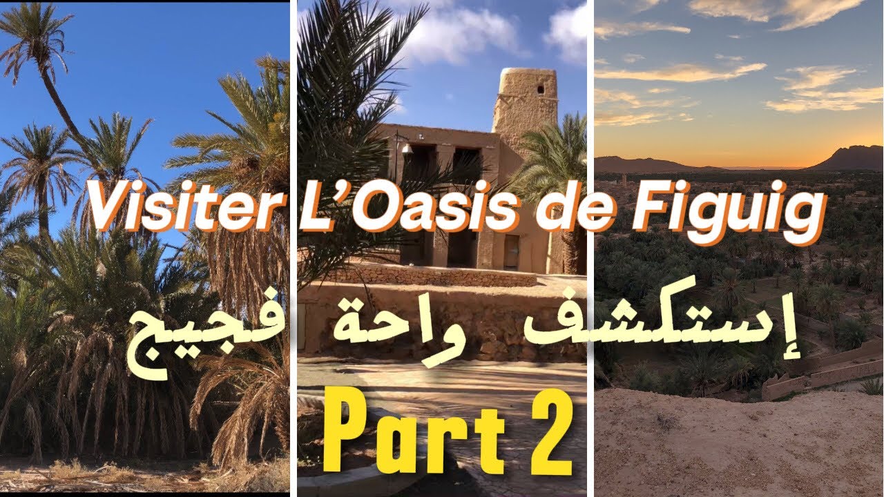 إكتشف أجمل الأماكن بواحة فجيج |PART 2 | découvrez les plus beaux endroits de l’Oasis de Figuig