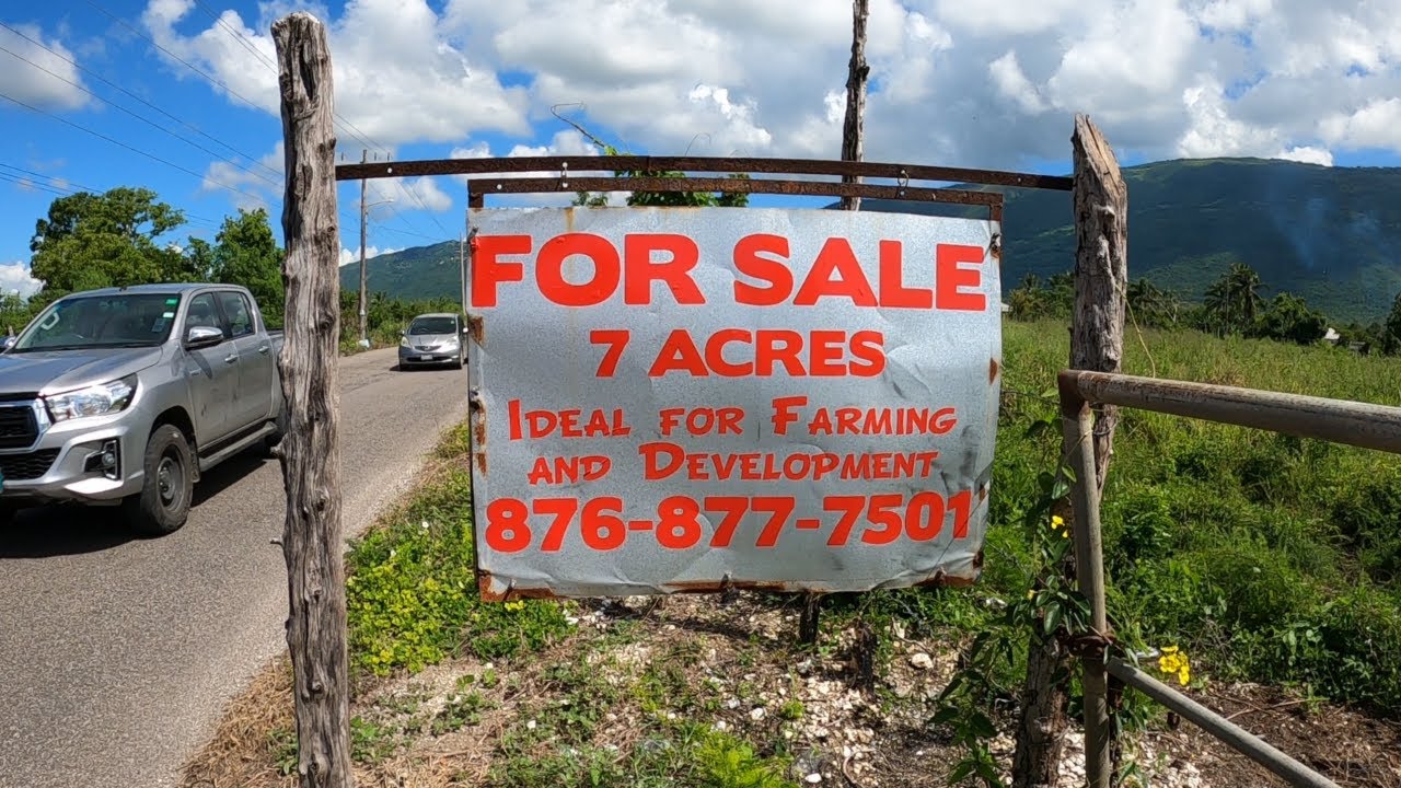 7 ACRES OF LAND FOR SALE IN SUCCESS ST.ELIZABETH #JAMAICA 2024