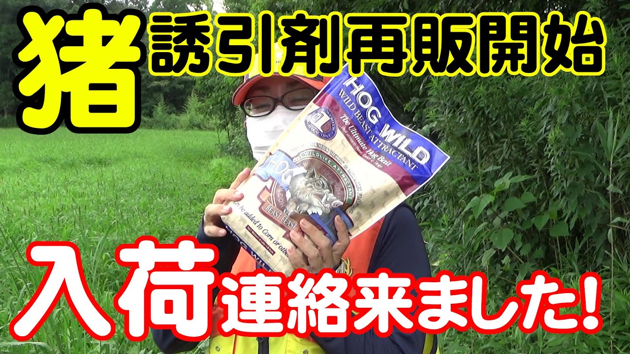 【狩猟告知】イノシシの誘引剤 ホグワイルド国内販売再開のお知らせ！！【イノシシ猟】【わな猟】