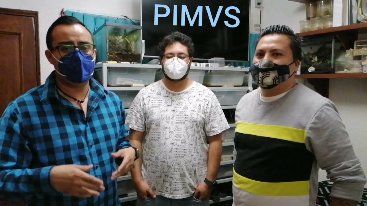 Te enseñamos a crear tu PIMVS o Comercializadora de REPTILES desde cero !!!