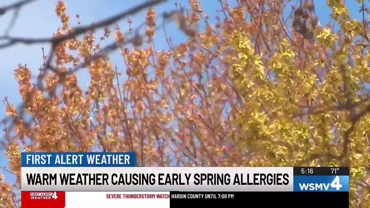 Warm weather causing early spring allergies