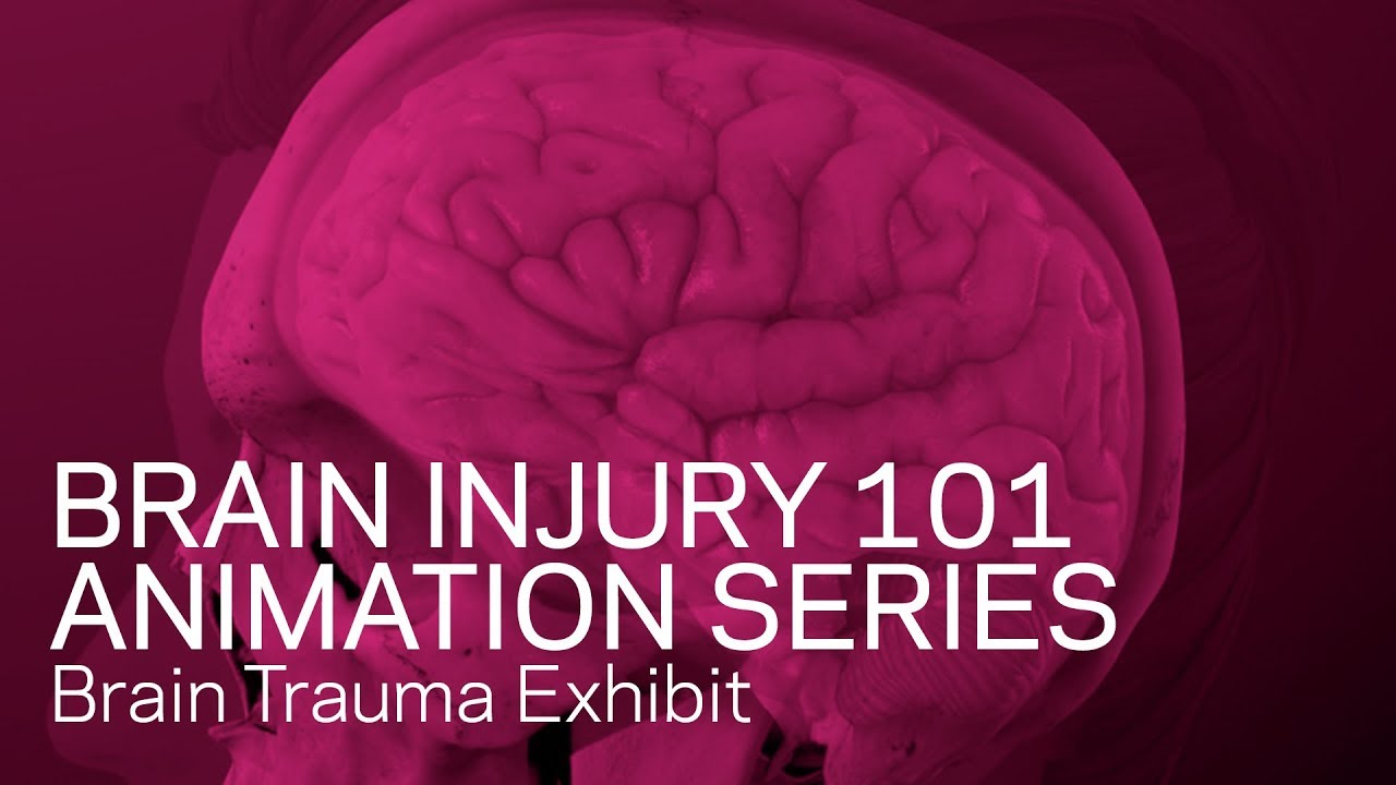 Traumatic Brain Injury Animation - TBI 101