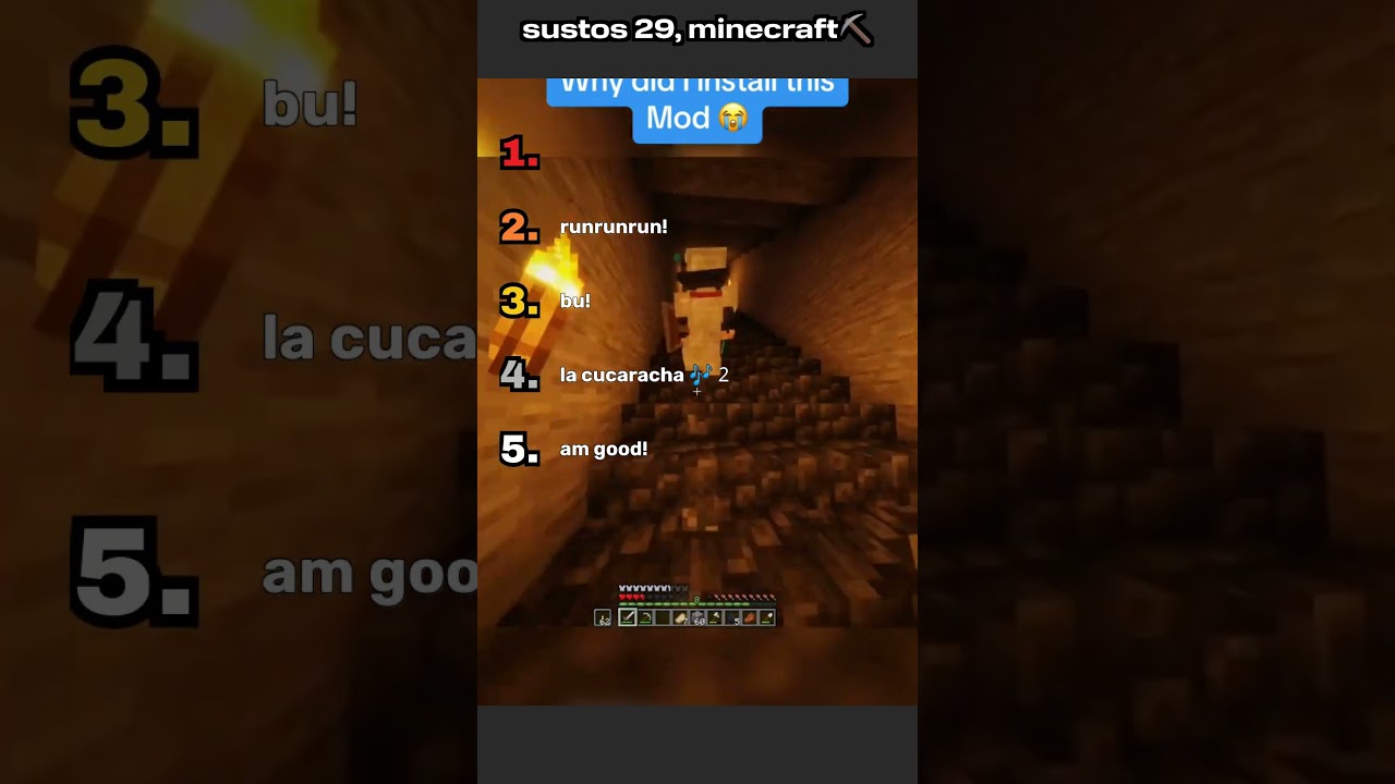 sustos 29, Minecraft