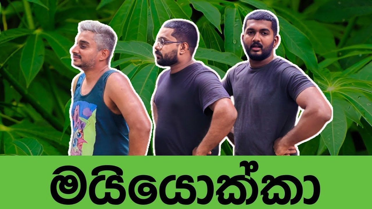 මයියොක්කා පැලේ | Maiyokka Pale | Mangus 2024