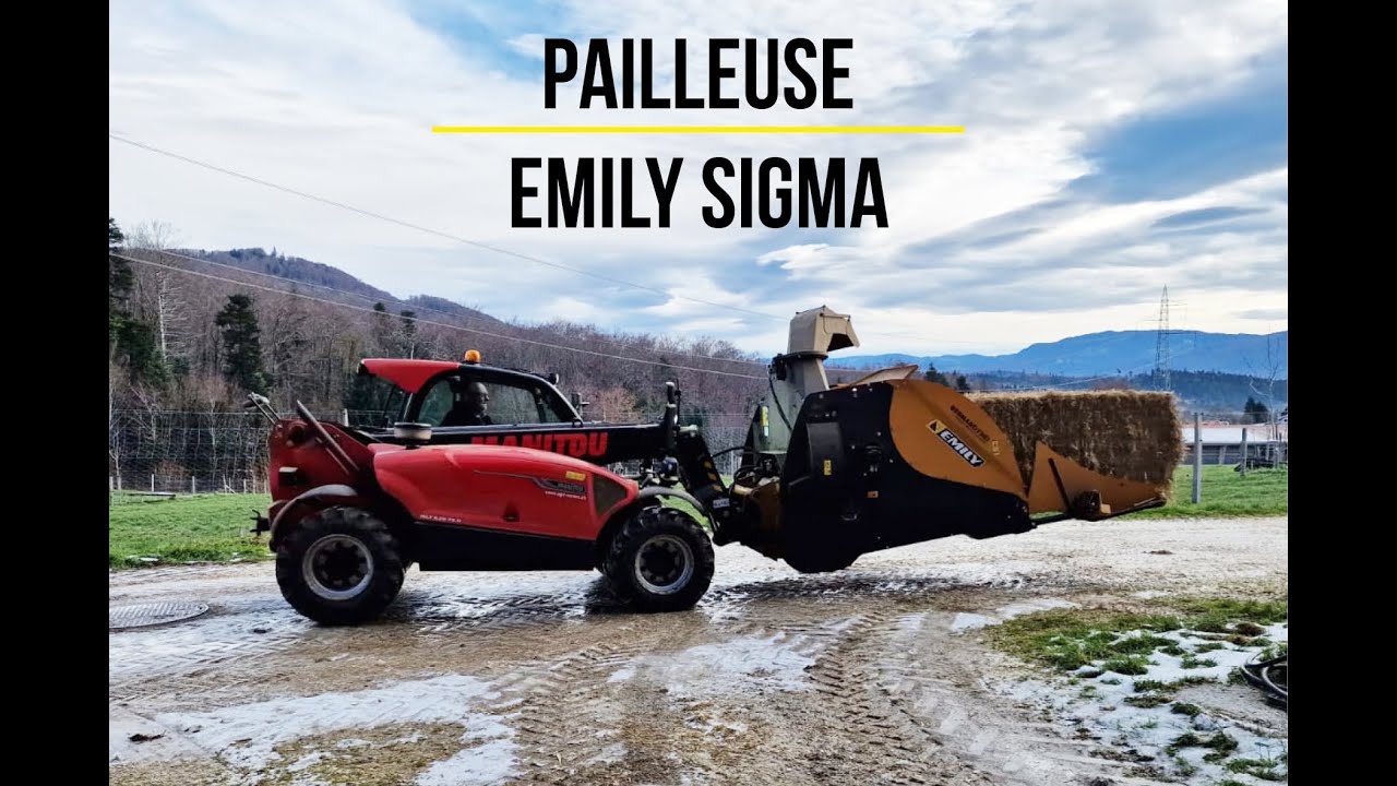Pailleuse Emily Sigma