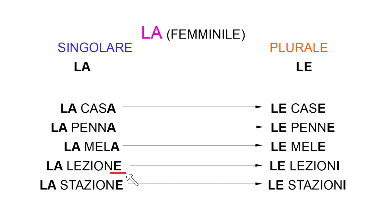 ARTICOLI DETERMINATIVI