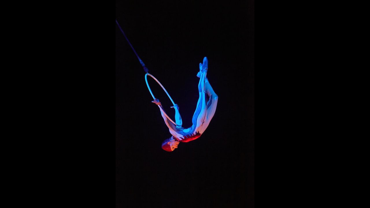 Aerial Hoops, Quidam by Cirque du Soleil. #danilabim #hairsuspension #aerialhoop