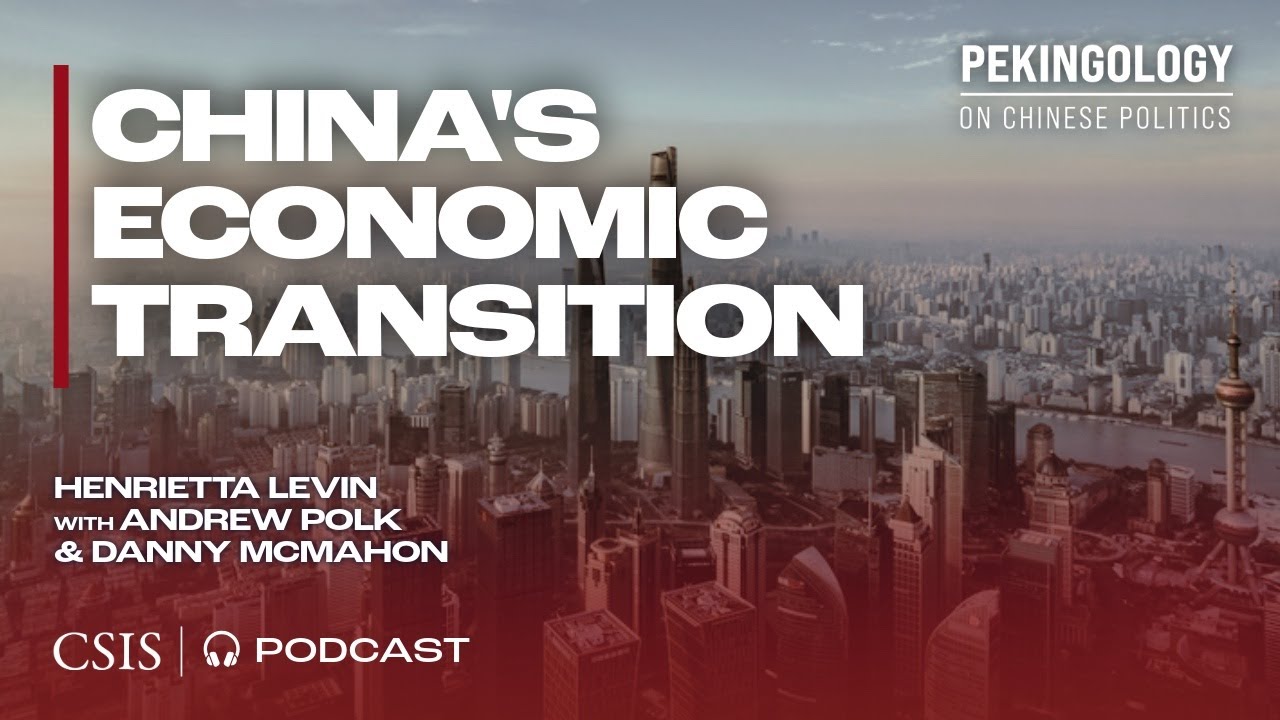China's Economic Transition