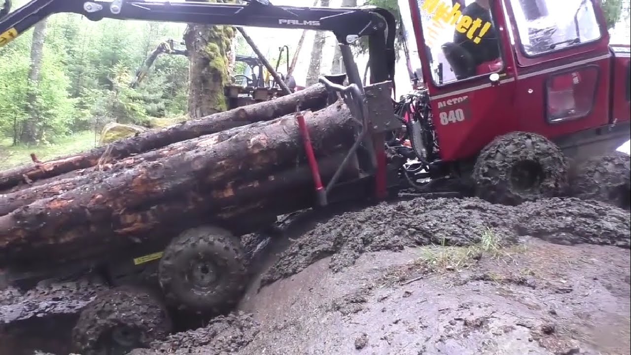 The Great Forest Harvest Compilation 2022