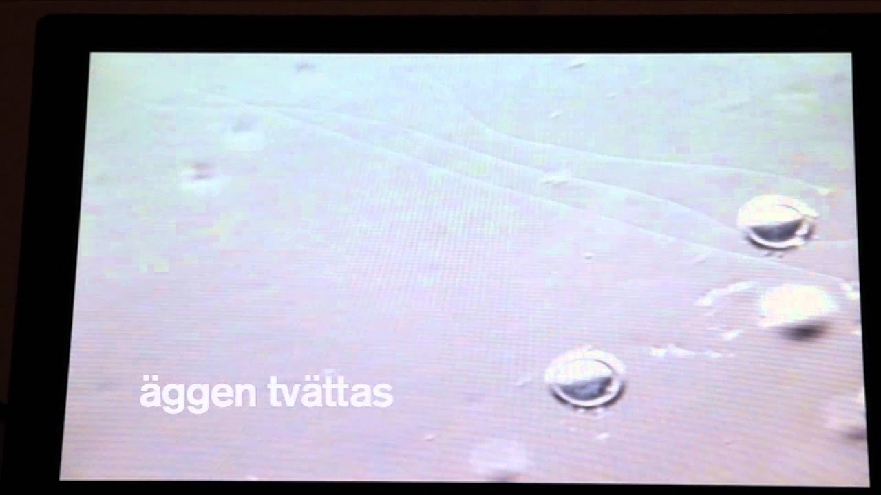 Provr&ouml;rsbefruktning