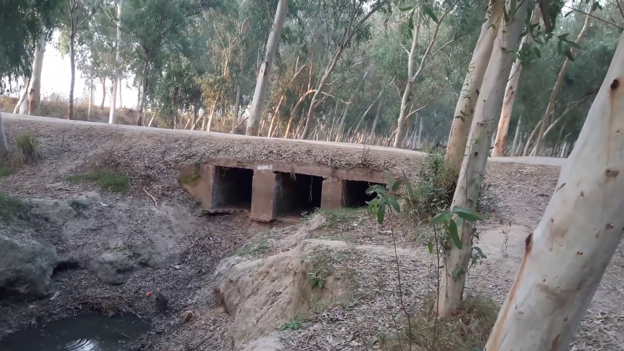 Best Shooting Location In My Village | A Visit to Sokar Nehar | Vlog By Veera Da Punjab