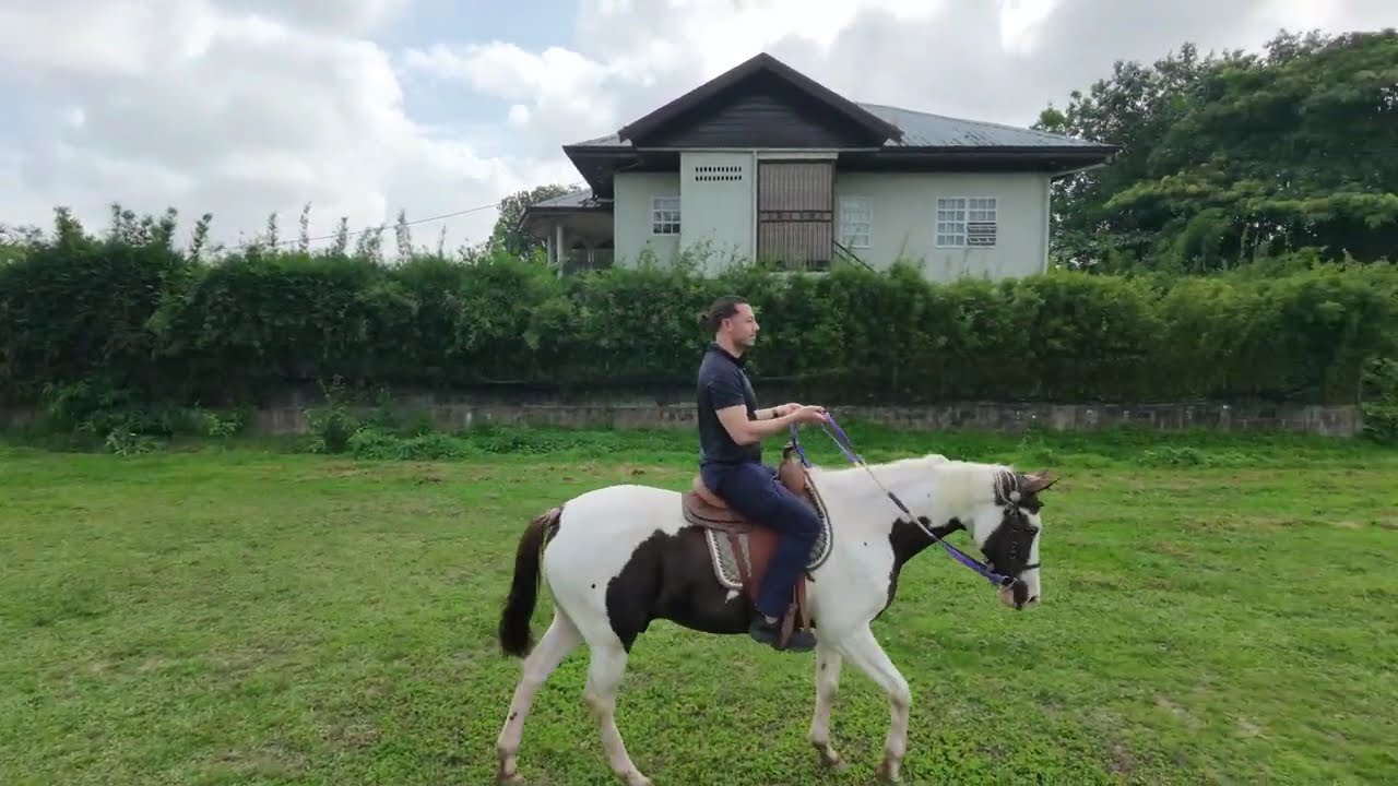 Horse riding in Suriname (4K drone shot)