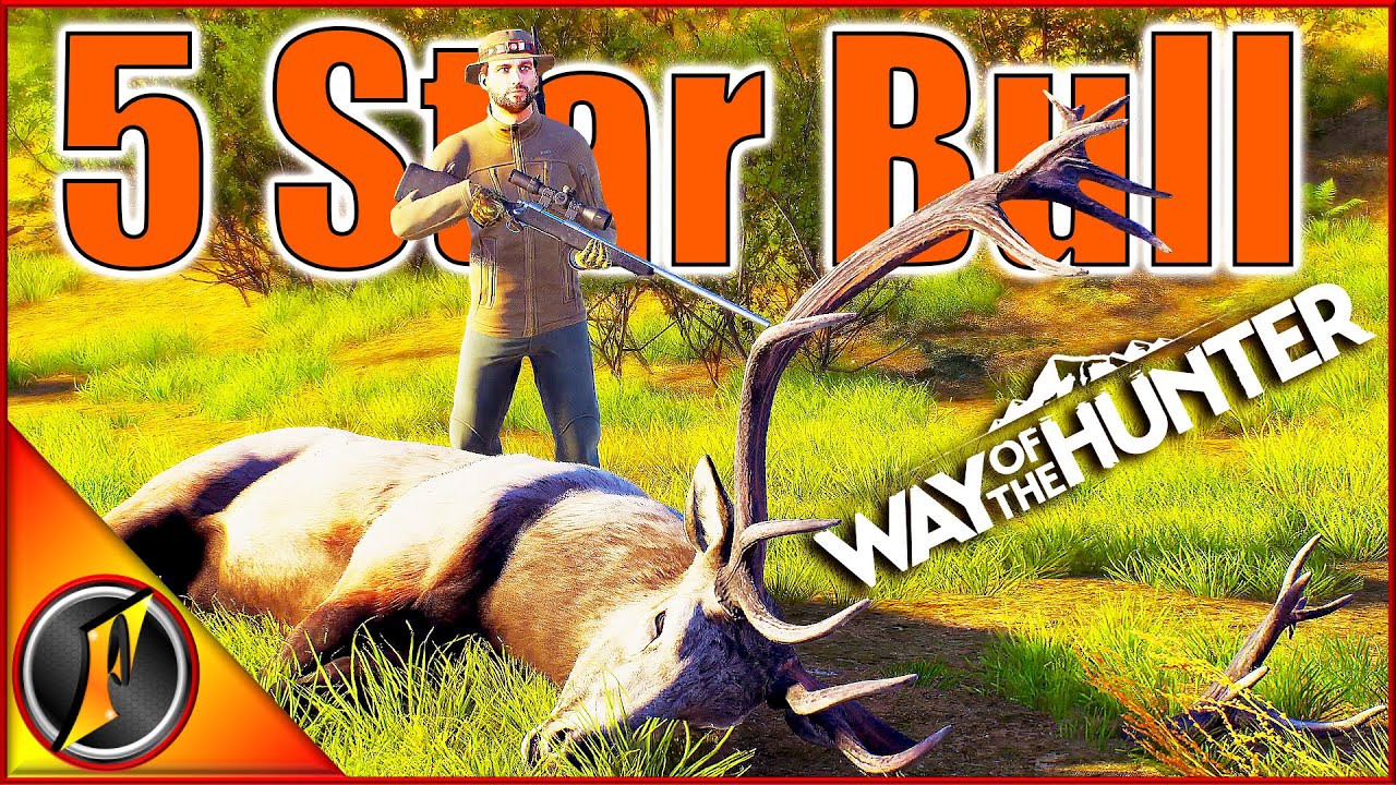 It's Finally Time to Age Our Melanistic Moose! | 5 Star Roosevelt Elk!