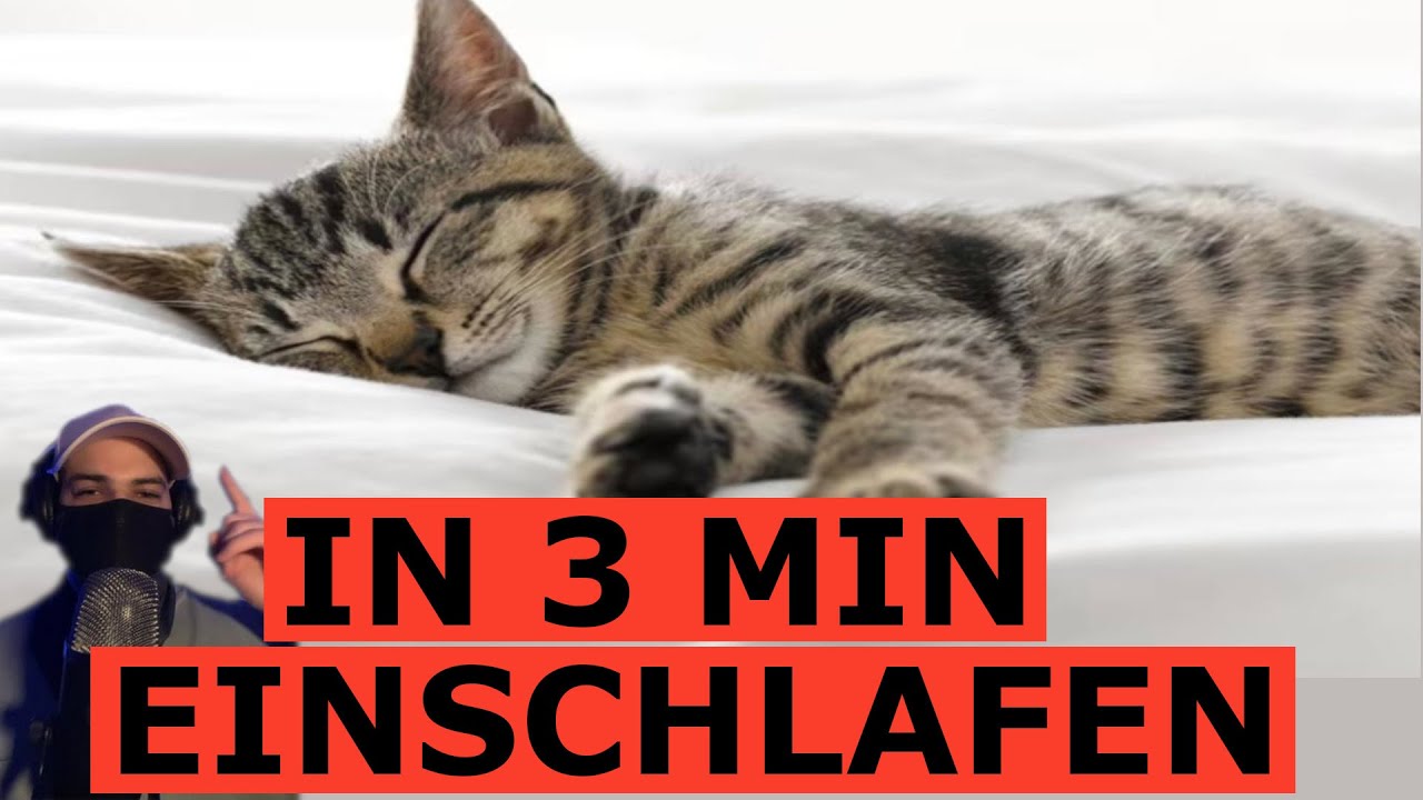 Dieses ASMR l&auml;sst dich schlafen wie eine schnurrende Katze 😴