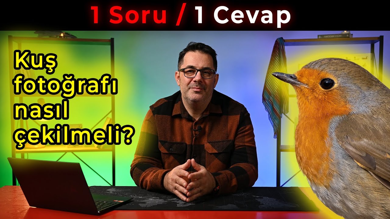 Kuş fotoğrafı nasıl çekilmeli? Kuş fotoğrafı için 400mm yeterli mi?