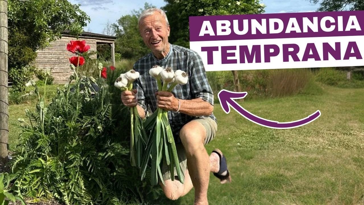 La primavera fue cálida y las cosechas están aquí, ¡siembra ahora para una nueva tanda!