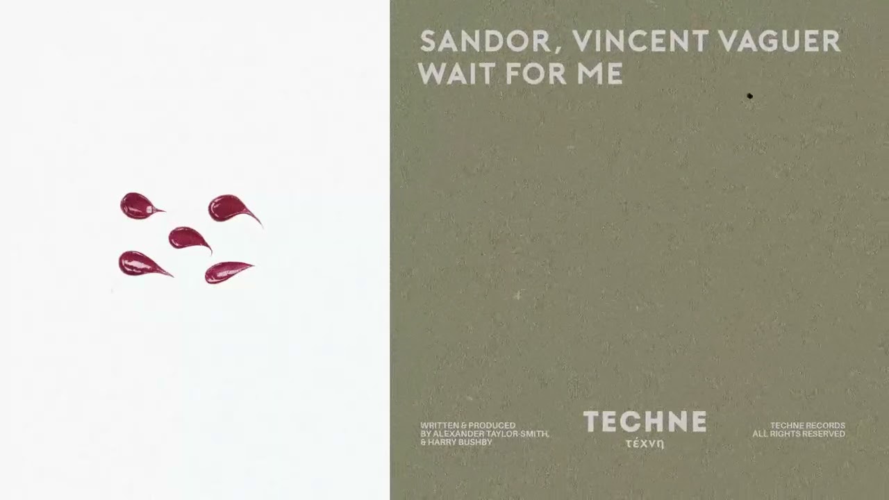 Sandor, Vincent Vaguer - Wait For You (Techne034) [Official Audio]