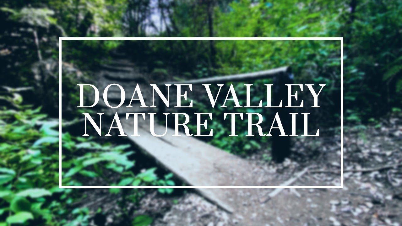 Hiking Doane Valley Nature Trail - Palomar Mountain, California