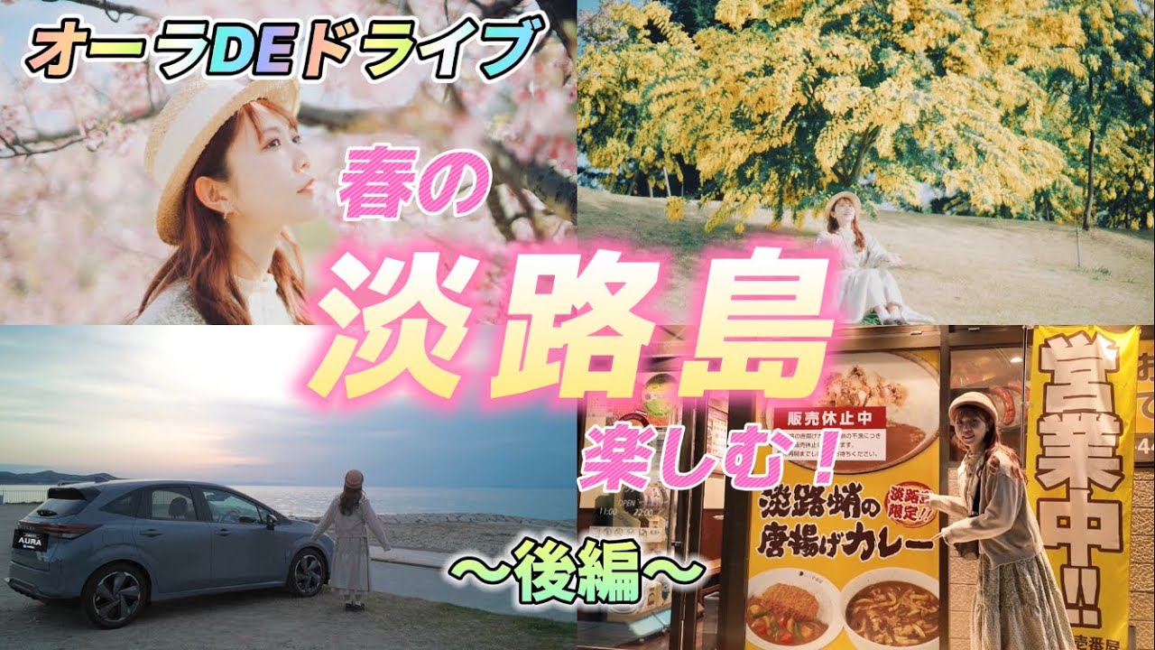 【日産ノートオーラ】春の淡路島を楽しむ！(後編)☆明石海峡公園の河津桜とミモザ他