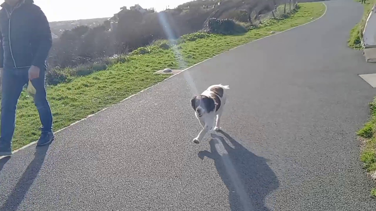 The Doneraile Walk.  Tramore,Waterford,Ireland. Lockdown March 2021