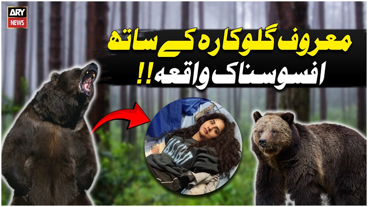 Singer Quratulain Balouch injured in Bear Attack in Deosai National Park - WATCH