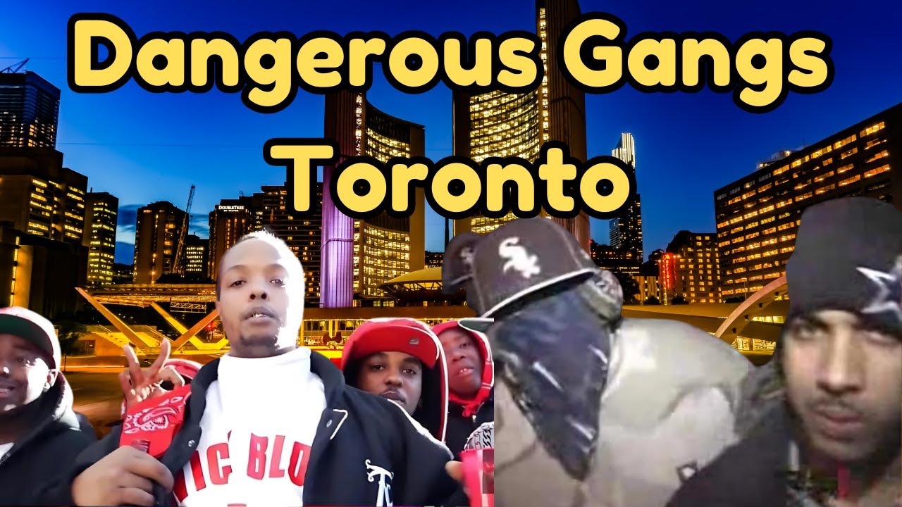 Dangerous Gangs of Toronto: The Rise & Fall of Notorious Crews (Crips & Bloods)