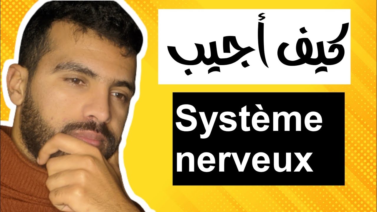 Le système nerveux 3ème année collège  exercices 💥 اختبر نفسك