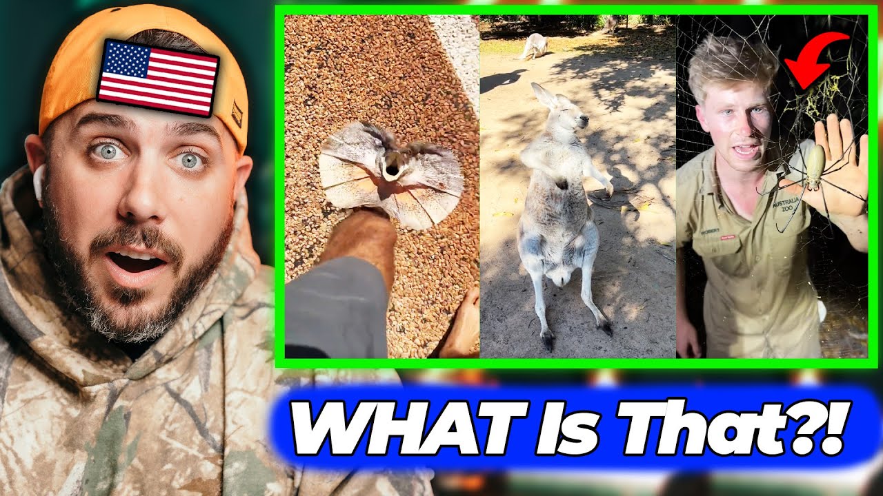 American SHOCKED by Australia’s Insane Wildlife 🕷️😳