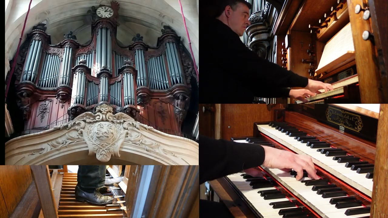L. Vierne  Idylle mélancolique Op. 31,  8 -  Christian Ott, Saint-Louis de Versailles