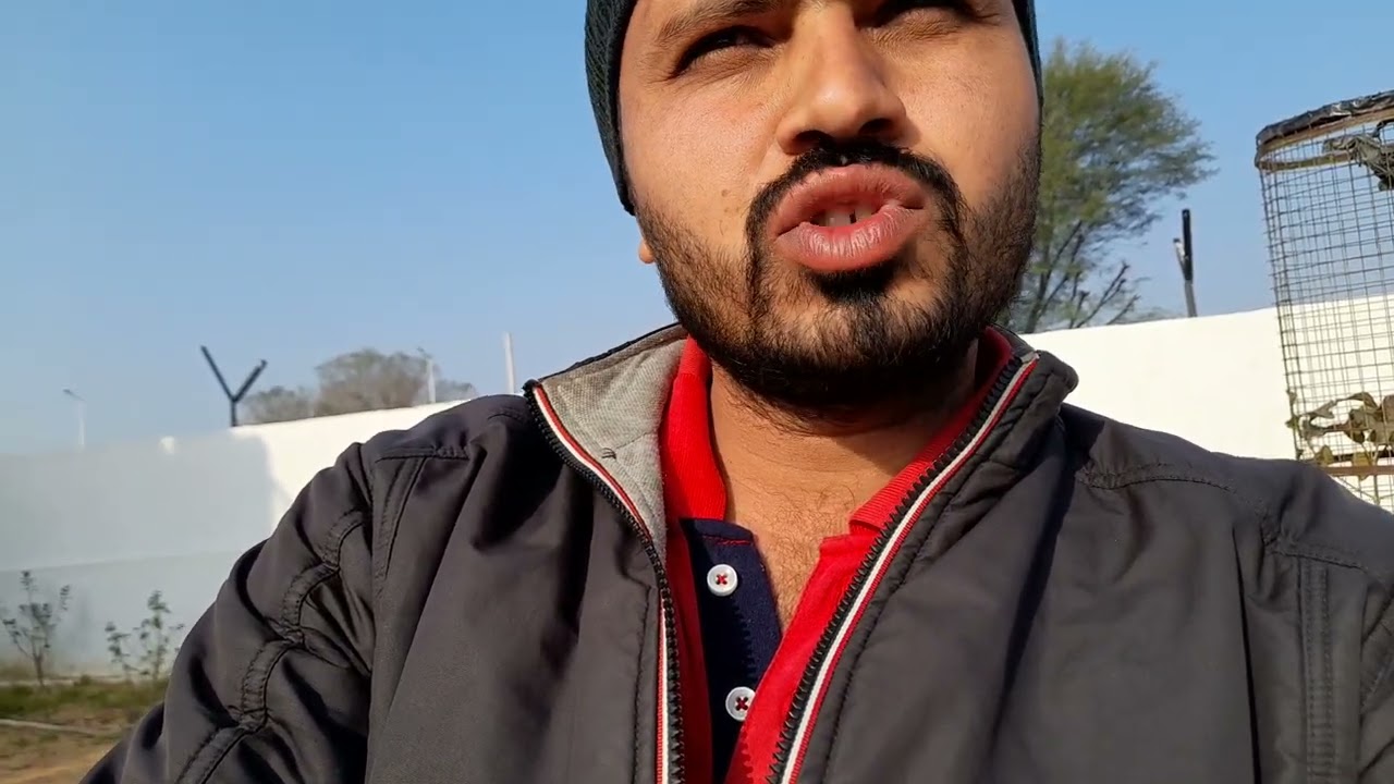 संतों ने तैयार किया 2100 क्विंटल कीड़ी नगरा🙏#KidiNagara #AntsFeeding #PunyaKarma #HinduRituals 
