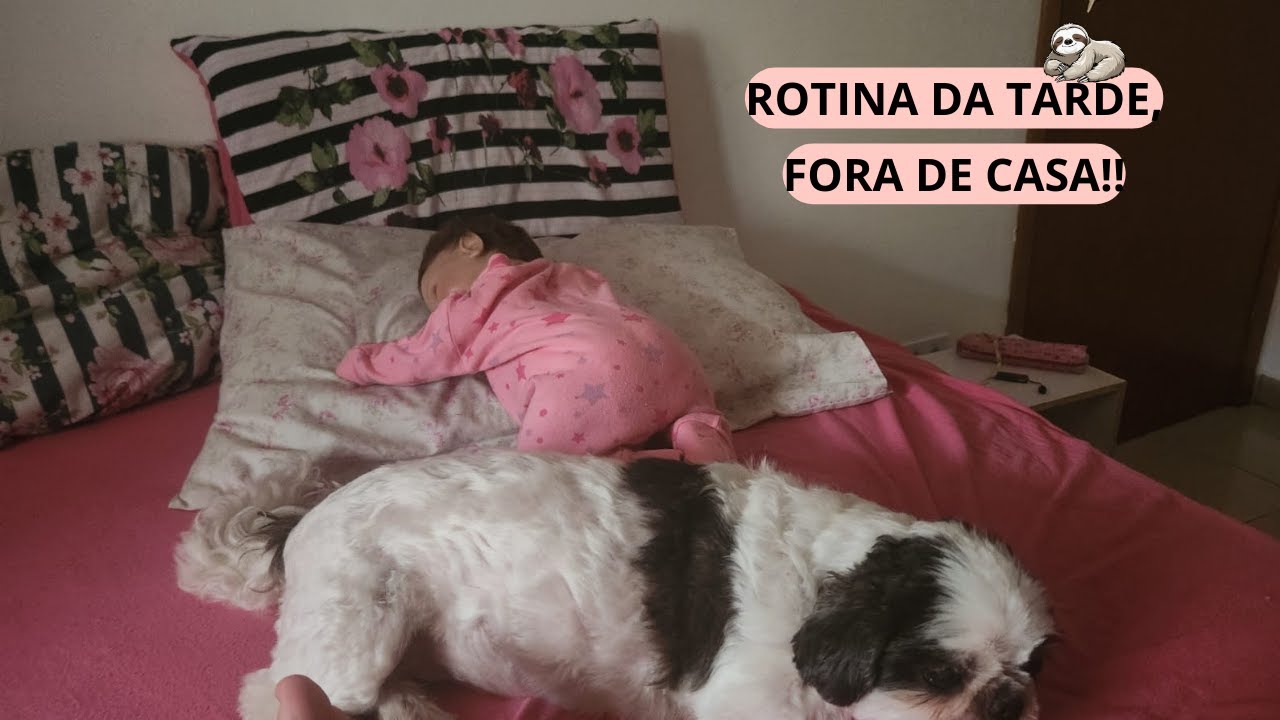 ROTINA DA TARDE FORA DE CASA!🥰 🐶
