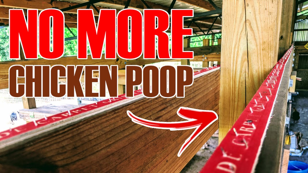 PREVENTING CHICKEN POOP EVERYWHERE - Poop proofing where chickens roost