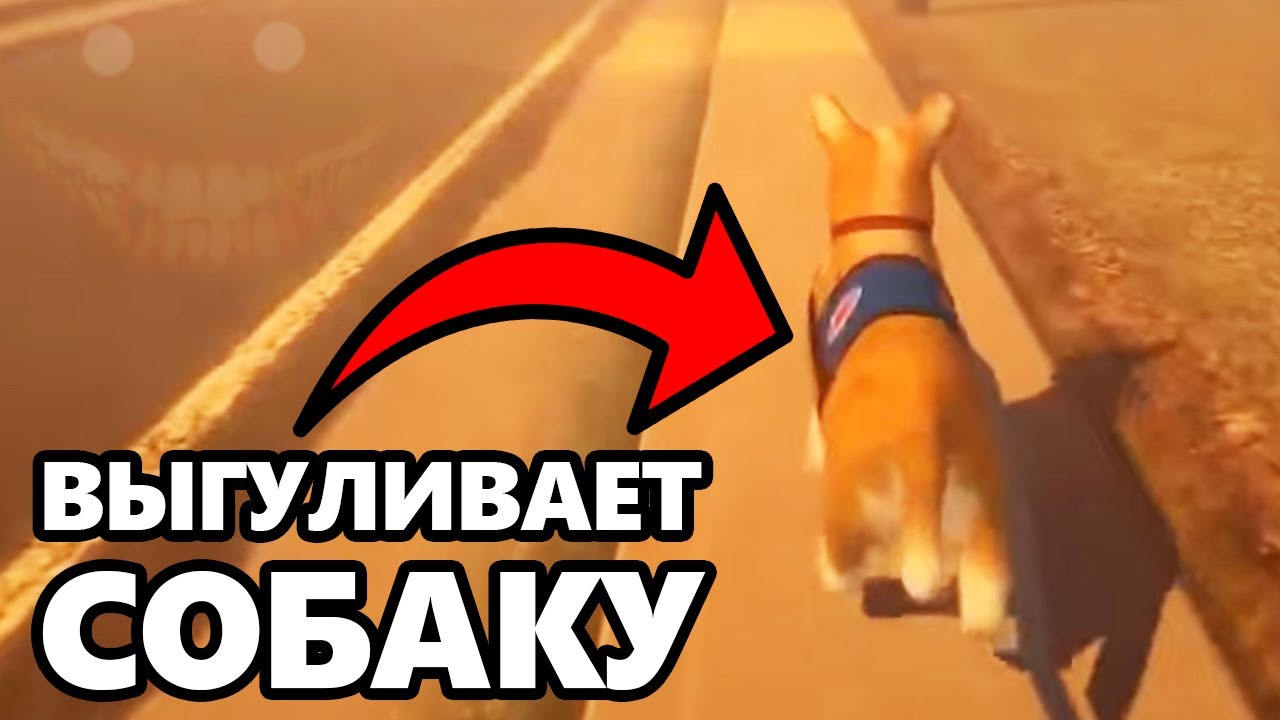 DAWG выгуливает собаку [СТРАШНО]