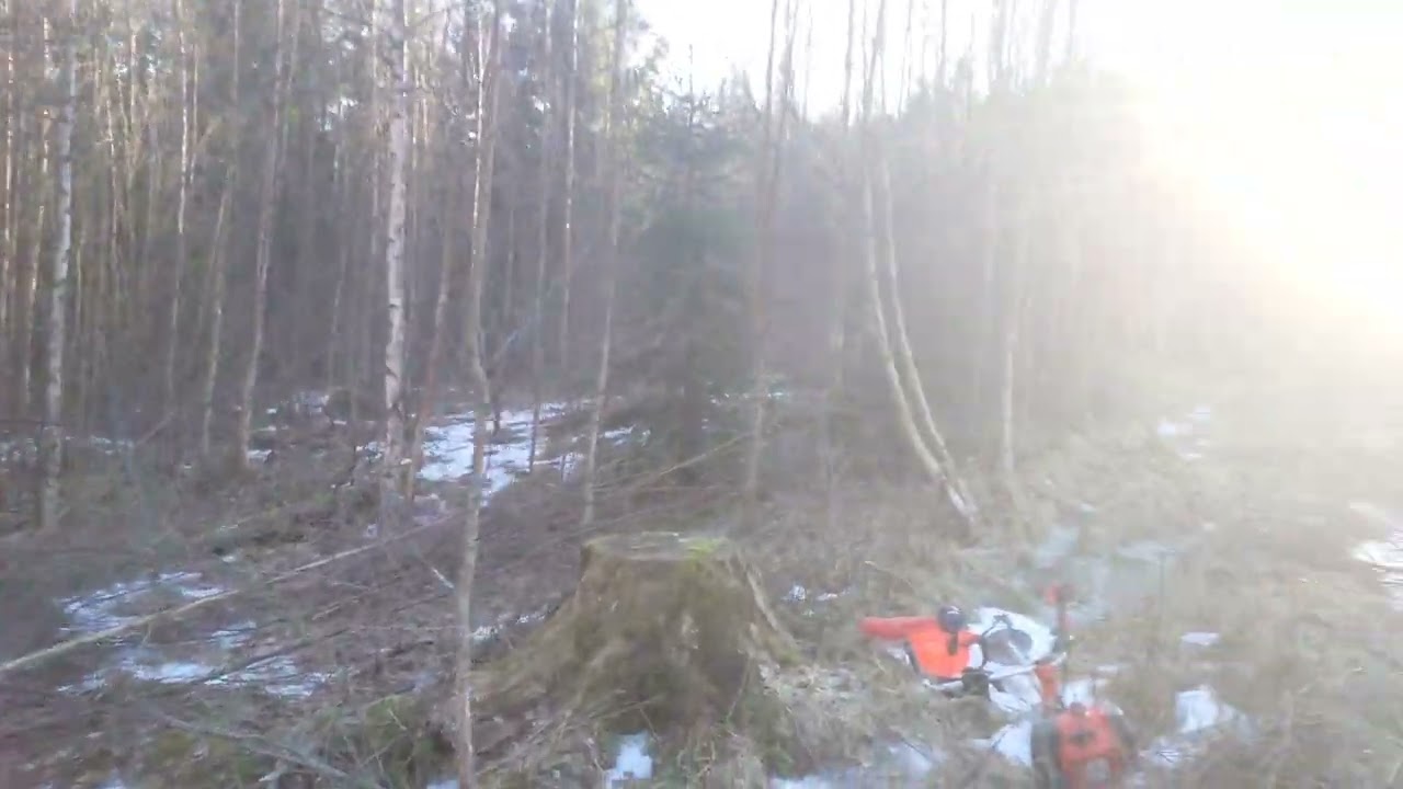 Röjning Fagerås - första rojning