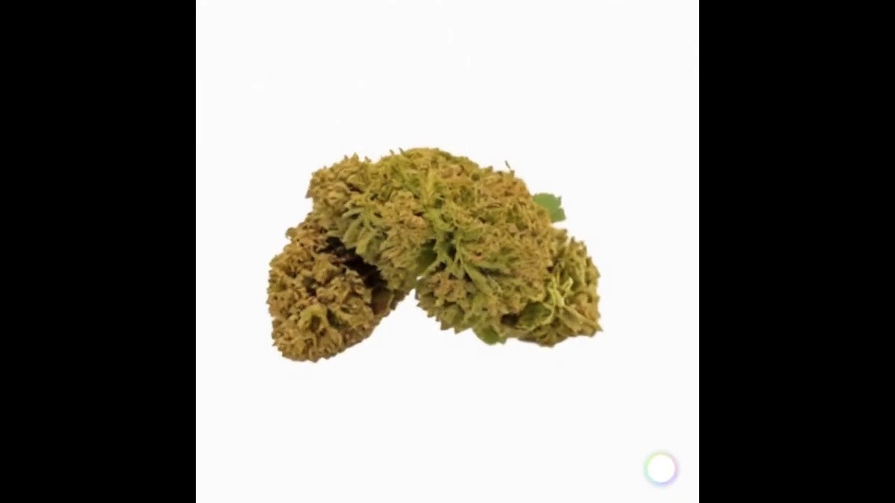 fleur de cbd bio PAINKILLER CANNACIE