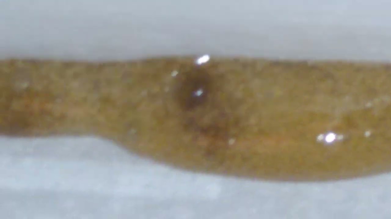 dulytek 5 ton hash rosin smash