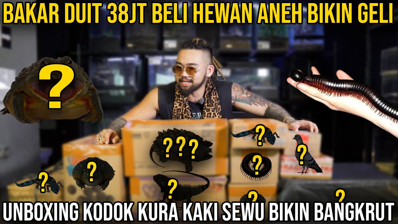 BAKAR DUIT 38JT BELI HEWAN ANEH BIKIN GELI UNBOXING KODOK KURA KAKI SEWU BIKIN BANGKRUT  #indoexotic